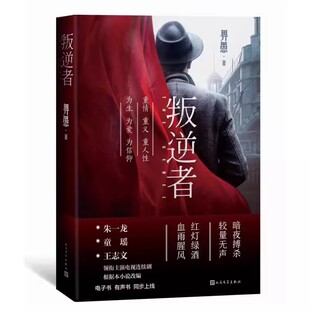 正版叛逆者 畀愚 人民文学出版社 抗战背景聚焦国共两党情报人员的斗智斗勇 朱一龙童瑶领衔主演电视剧原著小说