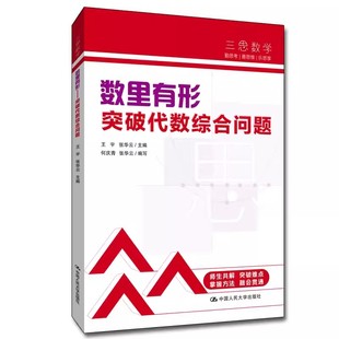 正版数里有形 突破代数综合问题 王宇 中国人民大学出版社 人大附中三思数学系列教材书籍