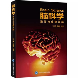 正版脑科学 进化与成瘾大脑 谢仁谦 北京大学医学出版社 社会工作等领域的专家学者和从业人士参考 教程教材书籍