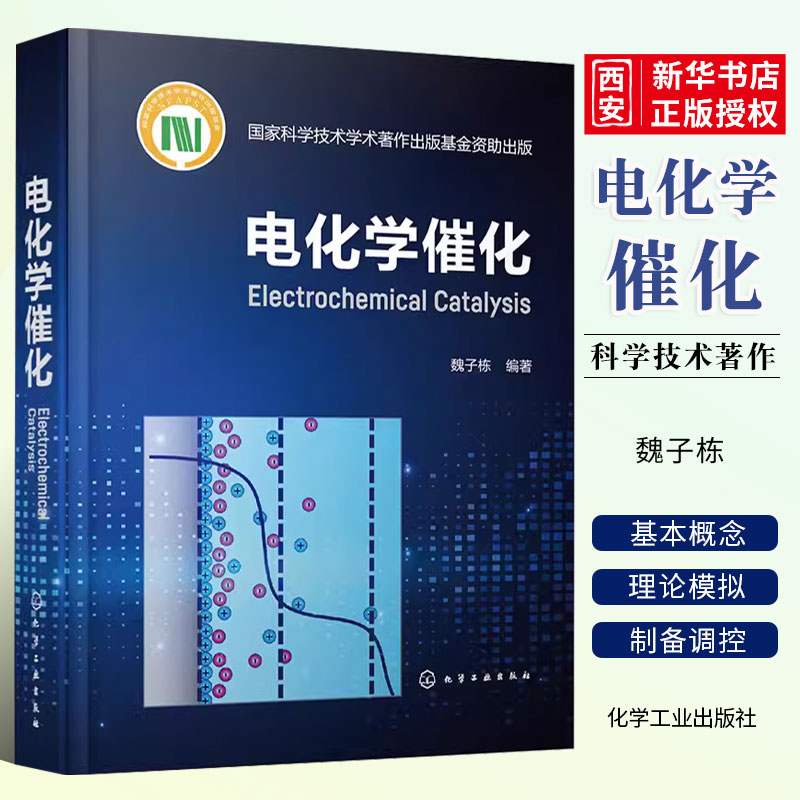 电化学催化陈庆化学工业