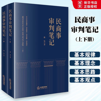 正版民商事审判笔记 上下册 骆电 法律出版社 执行异议之诉 民商事案件法律关系梳理 民商事纠纷审判实践司法实务工具书