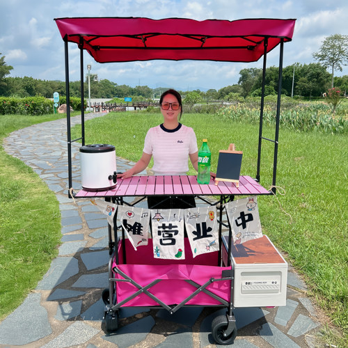移动夜市摆摊小推车升降桌遮阳棚