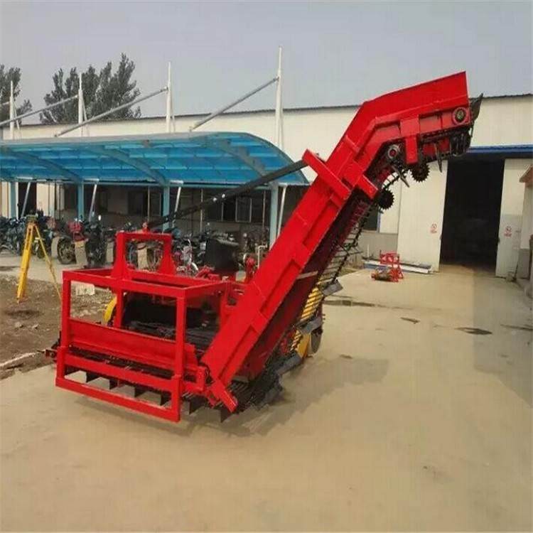 亚泰4UQL-1300型自动装车 土豆/地瓜/洋葱联合收获机wzj