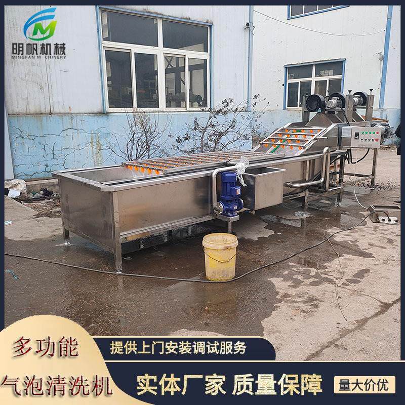 多功能商用果蔬气泡清洗机全自动杨梅清洗流水线净菜加工线洗菜机