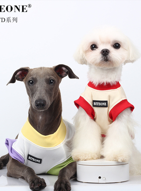 BITEONE【夏日汽水】猫咪狗狗春夏新品儿童节狗狗礼物