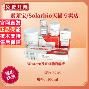 现货 Western及IP细胞裂解液 100ml R0100 科研实验 索莱宝Solarbio
