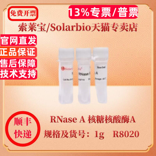 现货 索莱宝Solarbio RNase A 核糖核酸酶A 9001-99-4 25mg 100mg 1g R8020 生化试剂 科研实验
