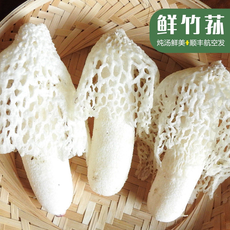 新鲜竹荪山珍鲜红托竹荪营养竹笙汤食用菌菇鲜脆竹蘑菇鲜竹孙1斤
