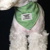 宠物猫咪狗狗围巾 拍照饰品中小大型犬口水巾 网红三角巾复古围脖