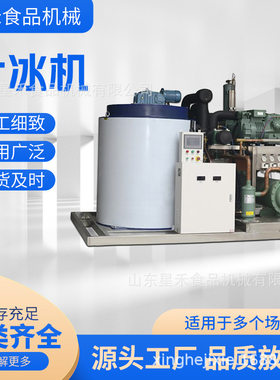 工厂直销小型商用片冰机海鲜水产肉类商超冷藏用片冰制造机