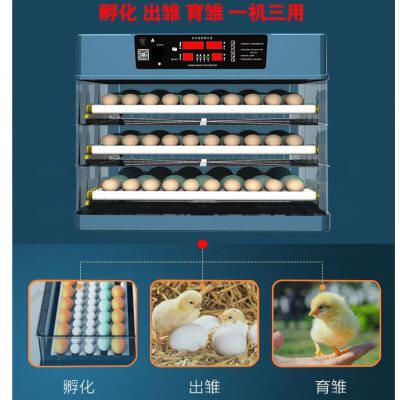 鸵鸟蛋饲b养卵化机中型鹌鹑蛋保温设备加厚孵化机全自动家用型小