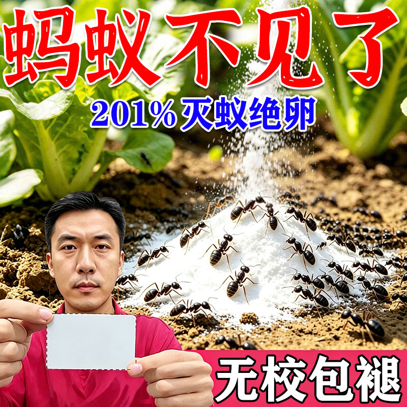 蚂蚁药农用菜地果园一窝白蚁防治专用药端强效毁巢灵灭蚂蚁药粉剂图片