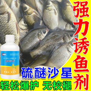 硫醚沙星钓鱼专用小药硫酸铜诱鱼剂野钓专用鲫鲤高浓度爆护抢食剂