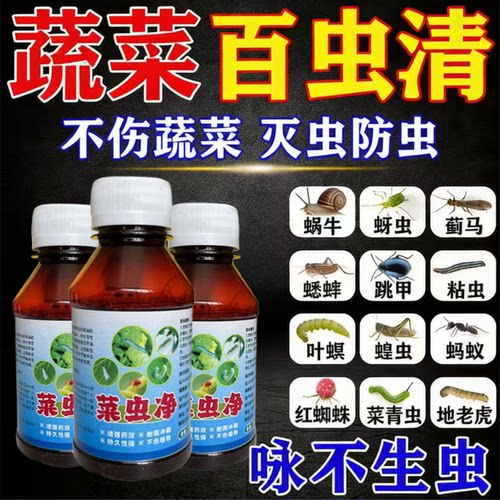 蔬菜杀虫剂安全无残留蚜虫菜蛾菜青虫地老虎百虫清菜园果园专用W