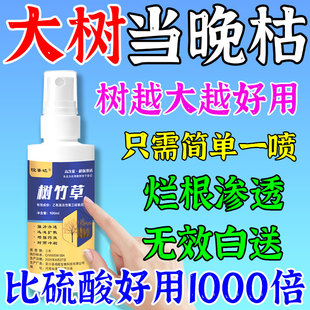 烂根大树专用的药强力腐树根树烂根药强力枯树王腐树一浇枯通用y