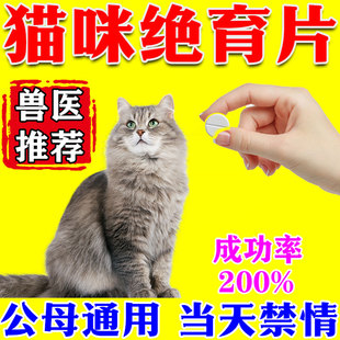 猫咪绝育药母猫专用宠物猫终身绝育抑制发情叫春嚎叫躁动禁情片W