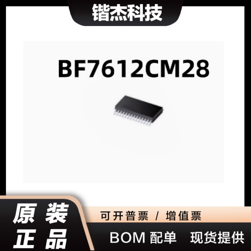 原装正品 BF7612CM28 封装SOP28 触摸芯片IC单片机微控器全引脚带