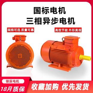 电机75W三相异步交流电动机YE3 6P轴承线圈大功率机械 315S
