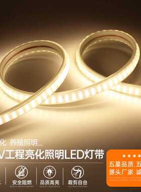 LED灯带超亮户外防水工程照明220v吊顶家用背景外墙自粘软长灯条