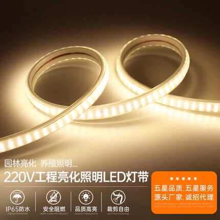 LED灯带超亮户外防水工程照明220v吊顶家用背景外墙自粘软长灯条