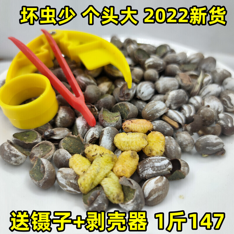蜜袋鼯仓鼠粮食零食坦克虫洋辣子花枝鼠松鼠啦虫金丝熊杨拉罐食用图片