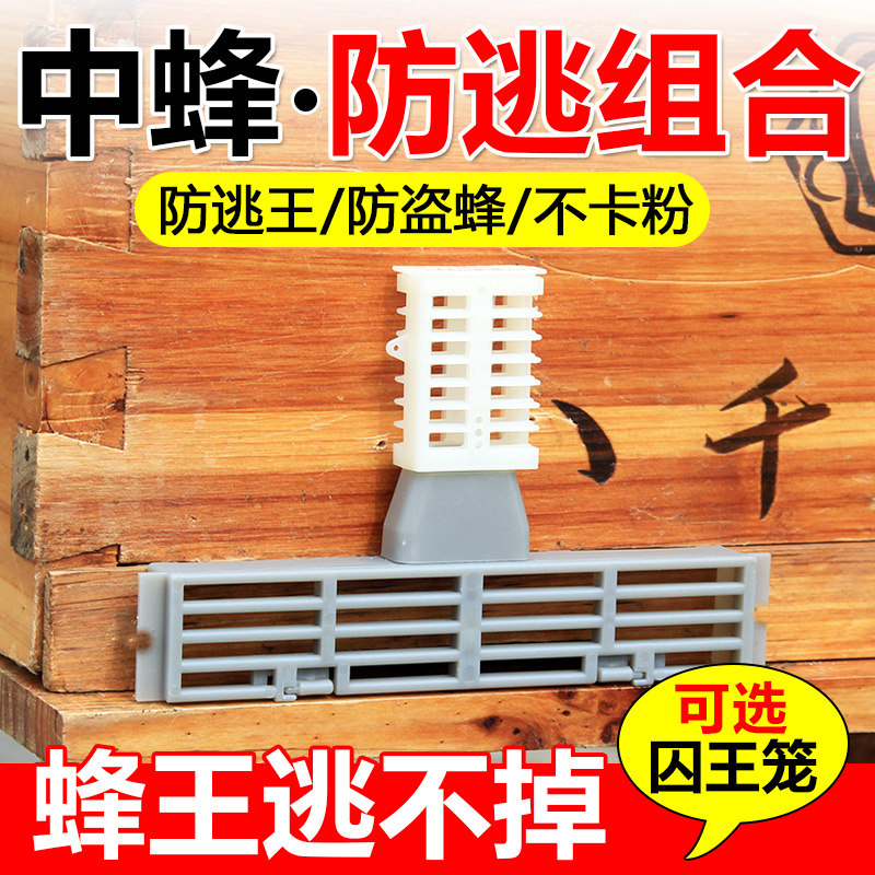 中蜂防逃框多功能蜜蜂箱巢门塑料隔王板蜂王防跑片防盗器养蜂工具