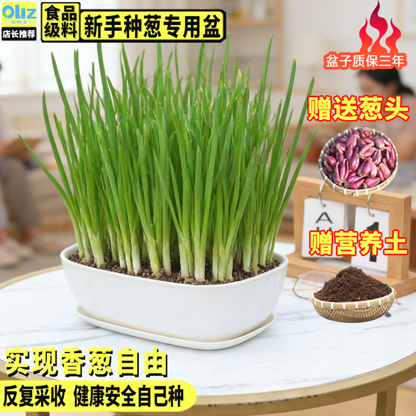 仿瓷长方形新手种葱盆阳台种菜盆长条蔬菜种植专用窗台养蒜苗神器