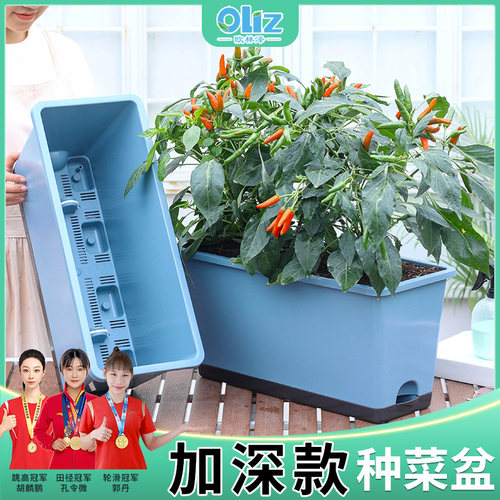 阳台种菜盆自吸水长方形大号加深