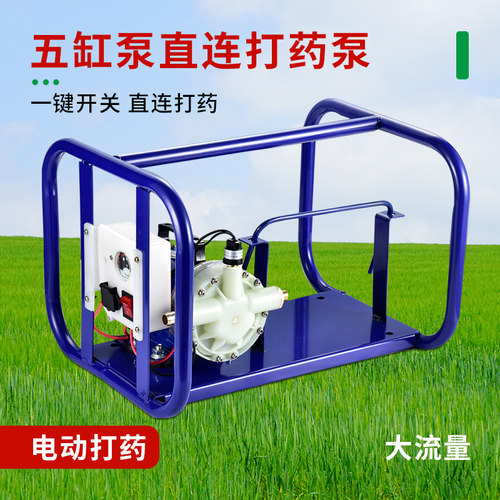 手提式打药机农用电动果树喷雾器12V 伏电瓶充电高压双缸柱塞药泵