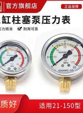 农用三缸柱塞泵打药机压力表
