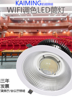 报告厅照明led筒灯 60w80w100w嵌入式筒灯 6寸8寸/10寸开孔天花灯