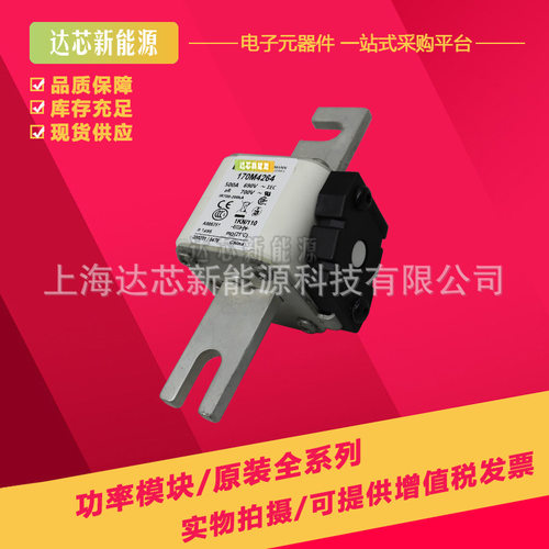 170M4985 170M4986 170M4987 170M4988 170M4989全新巴斯曼熔断器