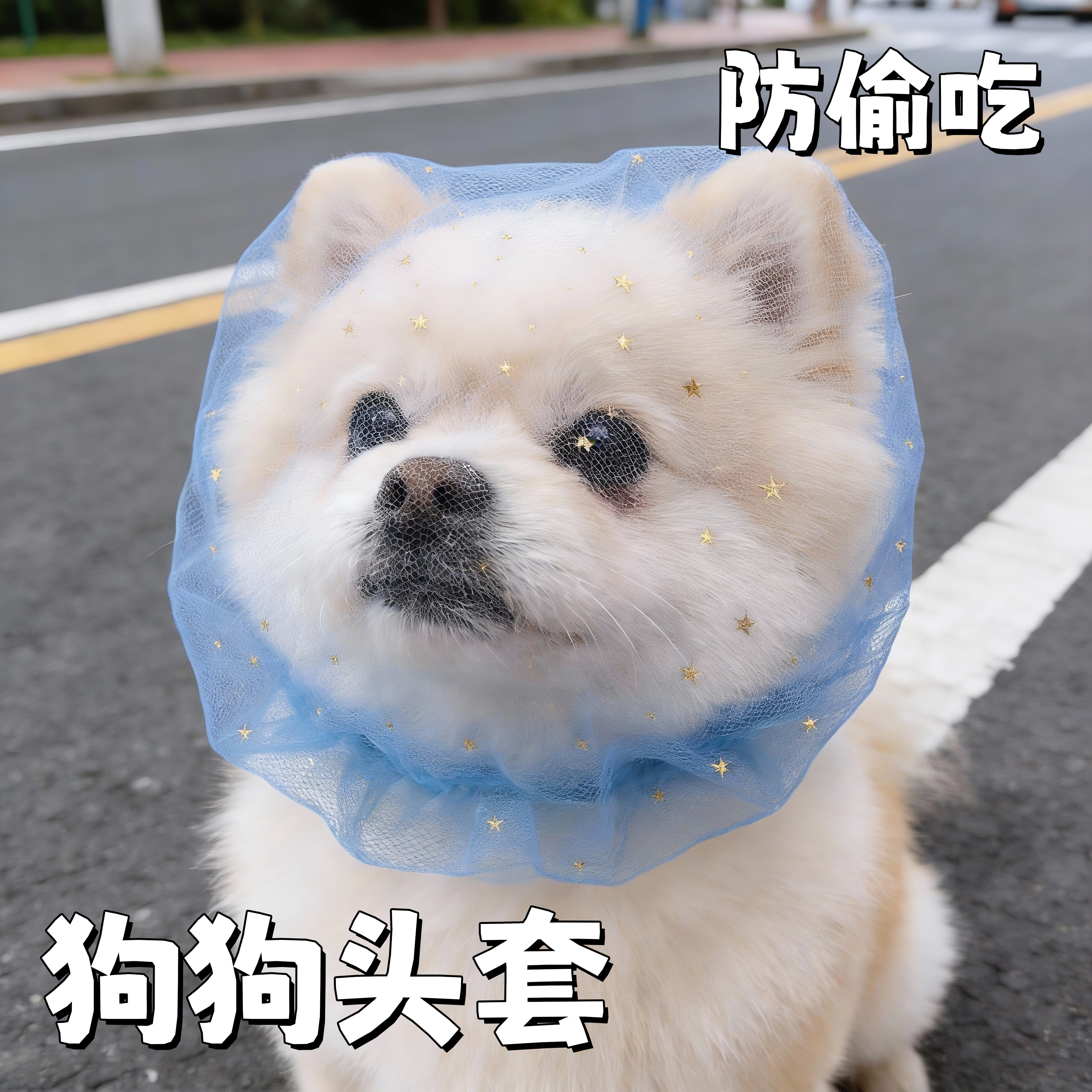 狗狗嘴套外出防误食头纱舒适透气中小型犬博美比熊宠物狗防舔网套