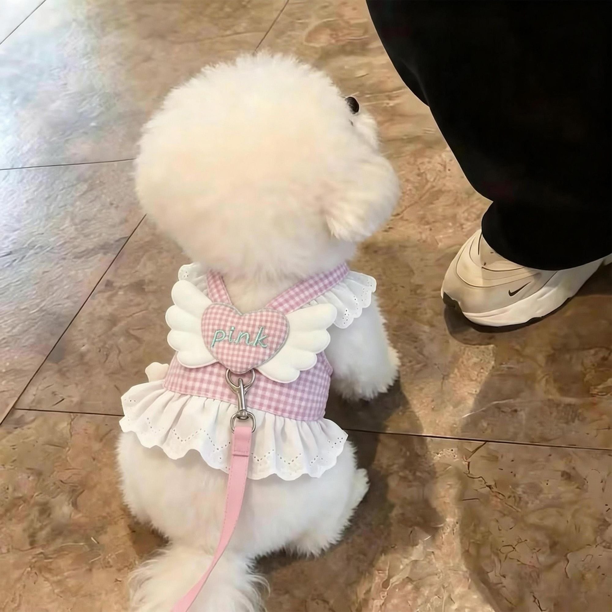 狗狗衣服牵引绳小型犬泰迪比熊雪纳瑞幼犬公主裙夏天外出专用胸背图片