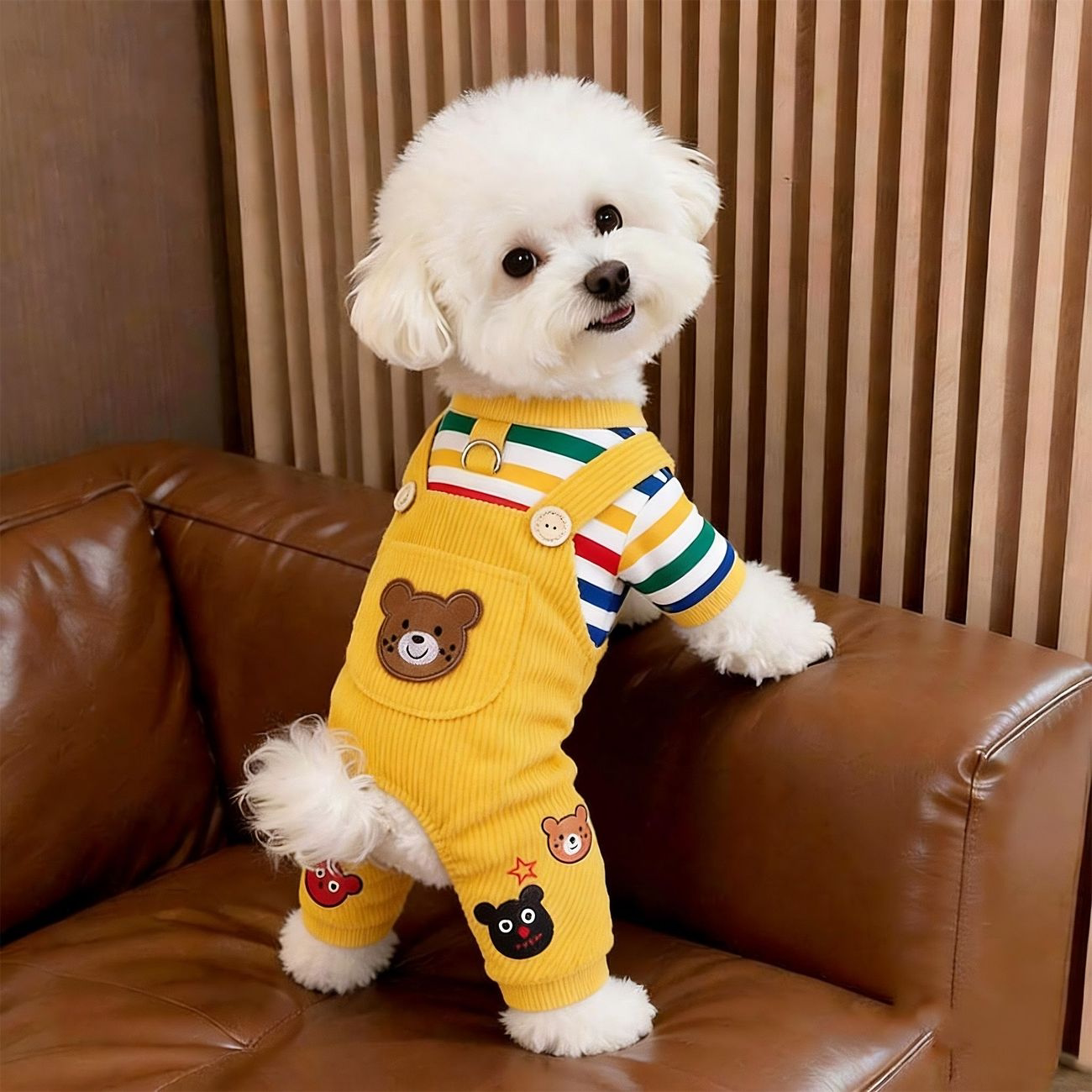 狗狗衣服秋冬款彩虹背带裤泰迪比熊雪纳瑞小型犬宠物可牵引四脚衣