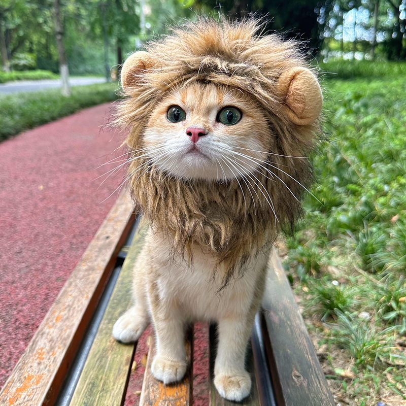 狮子猫咪头套可爱宠物头套头饰狗狗猫猫帽子头套拍照装饰宠物用品