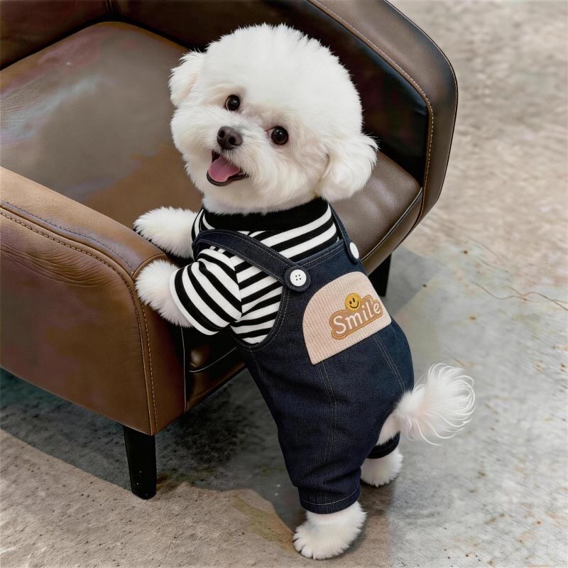 狗狗衣服秋冬款牛仔背带裤泰迪比熊雪纳瑞小型犬可牵引宠物四脚衣