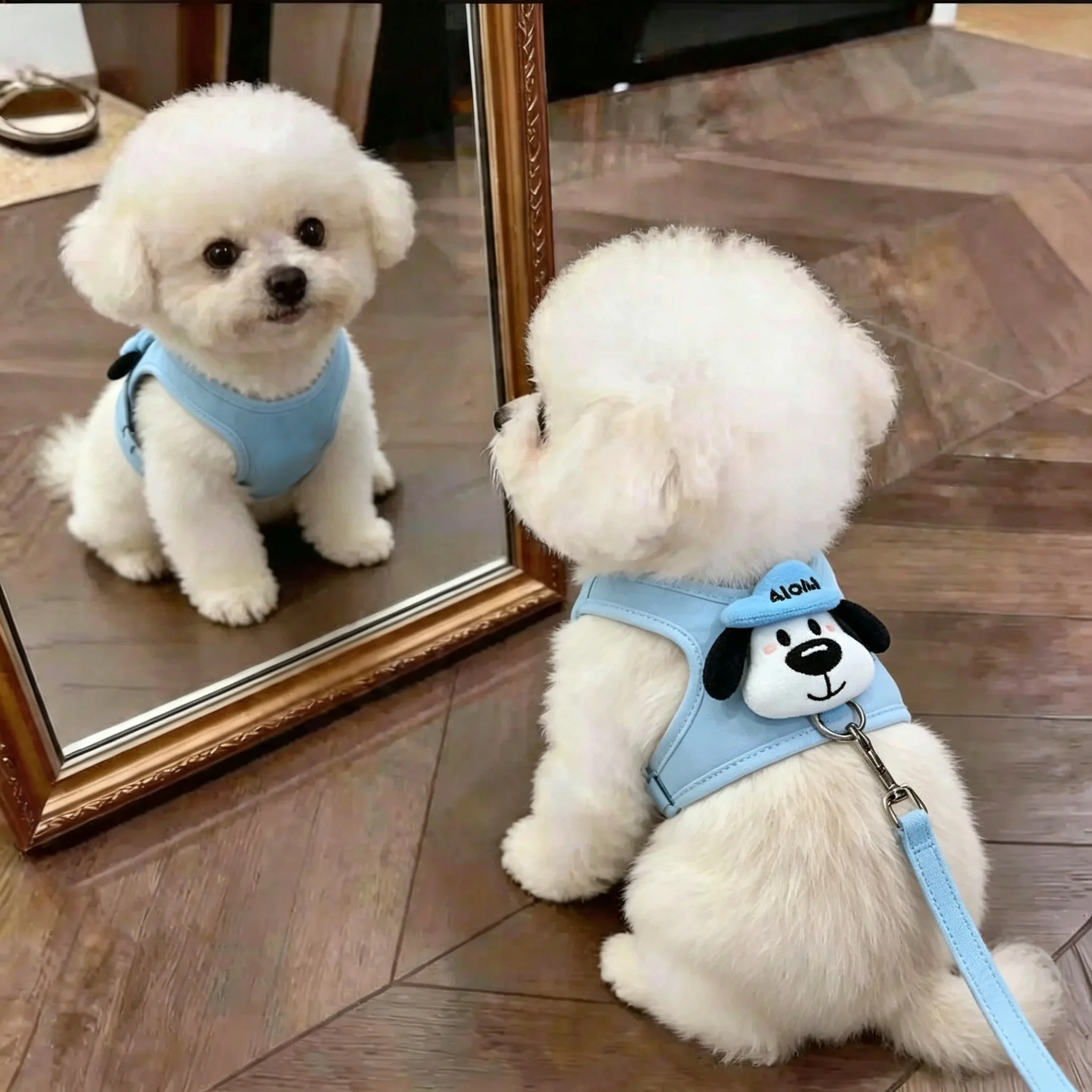 狗狗牵引绳胸背带可爱玩偶泰迪比熊小型幼犬外出专用遛狗绳可调节图片
