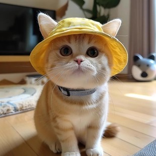 宠物太阳帽德文猫帽子渔夫帽防晒遮阳 猫咪帽子露耳朵狗狗帽子夏季