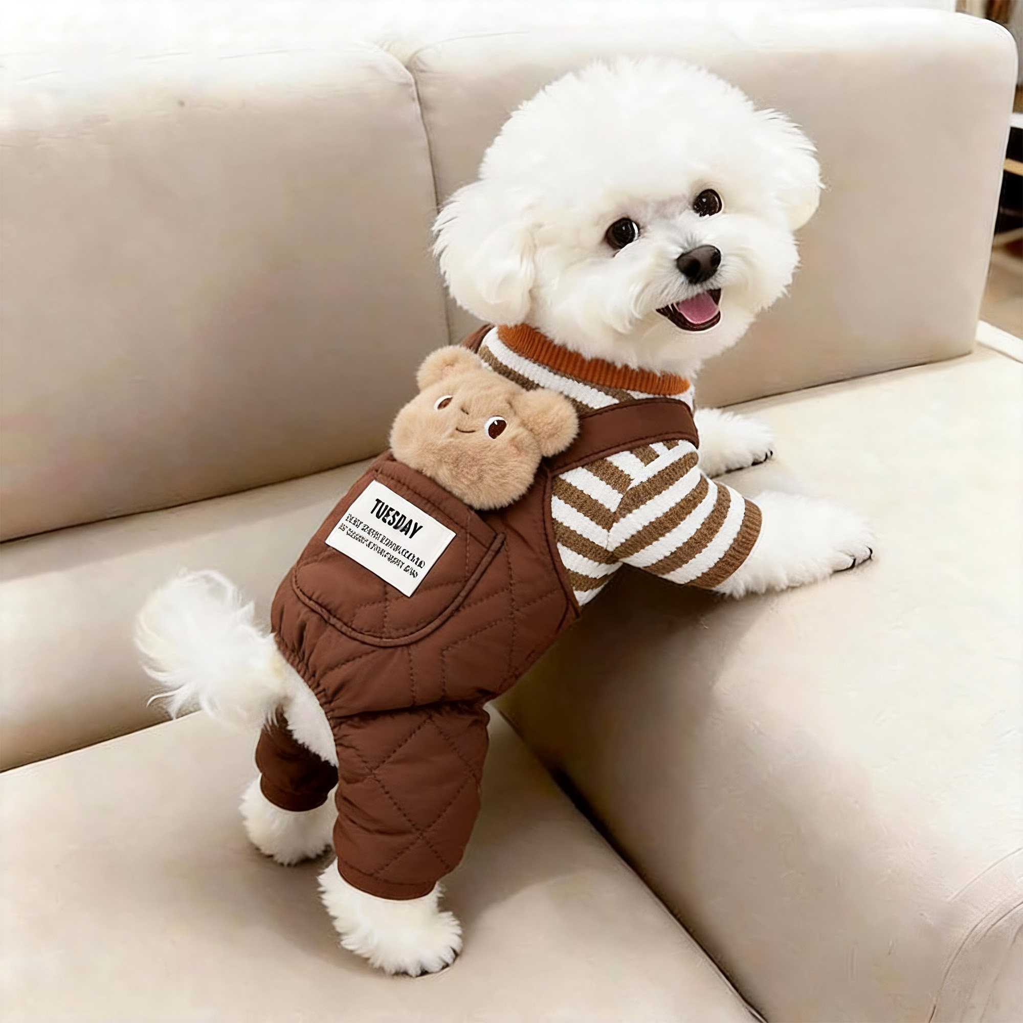 狗狗衣服秋冬款保暖棉衣泰迪比熊博美小型犬加厚四脚衣宠物可牵引图片