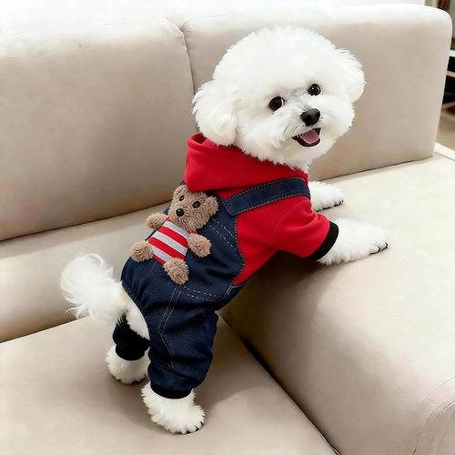 狗狗衣服秋冬款小熊变身装泰迪比熊雪纳瑞小型幼犬保暖宠物四脚衣