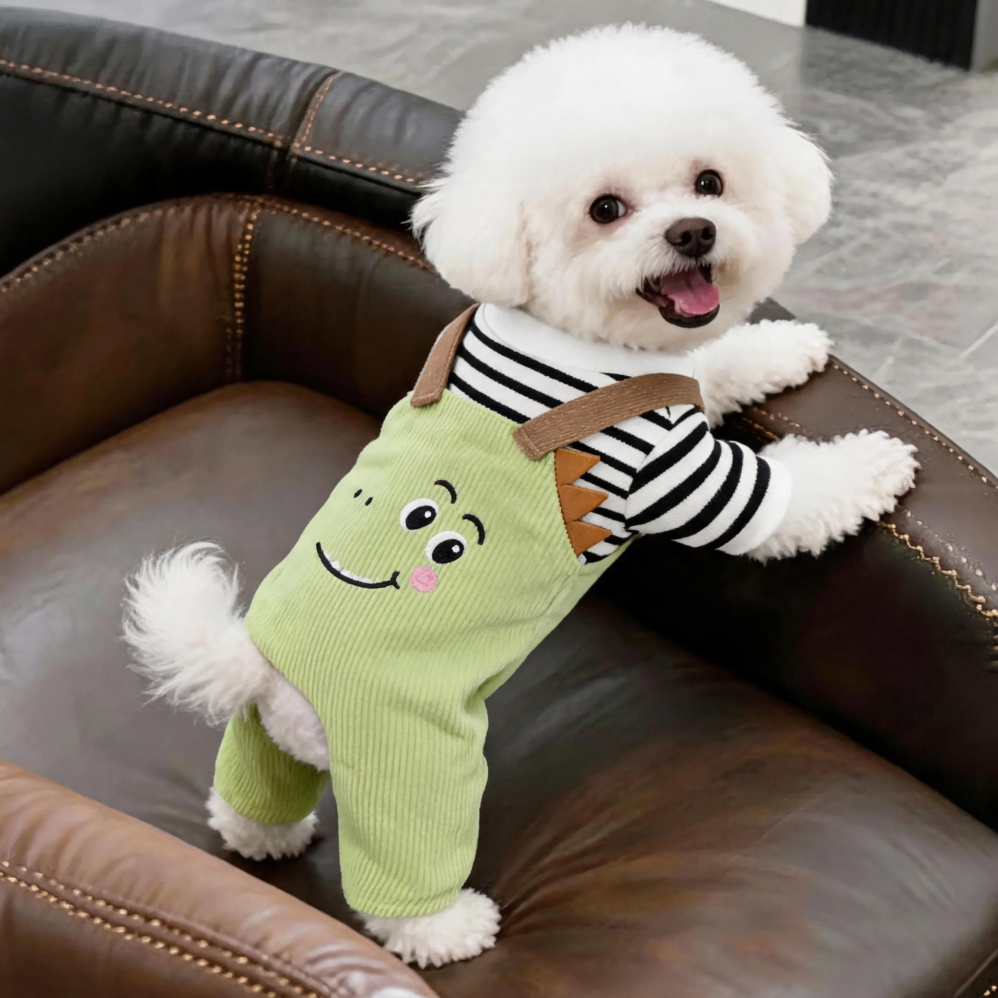狗狗衣服秋季薄款恐龙背带裤泰迪比熊博美小型犬可牵引宠物四脚衣图片