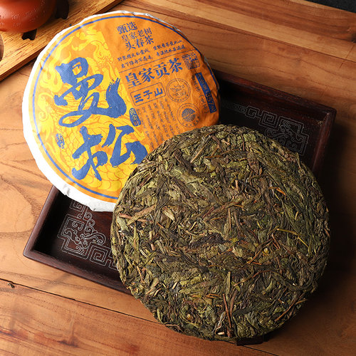 云南普洱茶曼松王子山贡茶黄金叶耐泡大叶种春茶鲜爽高甜茶饼