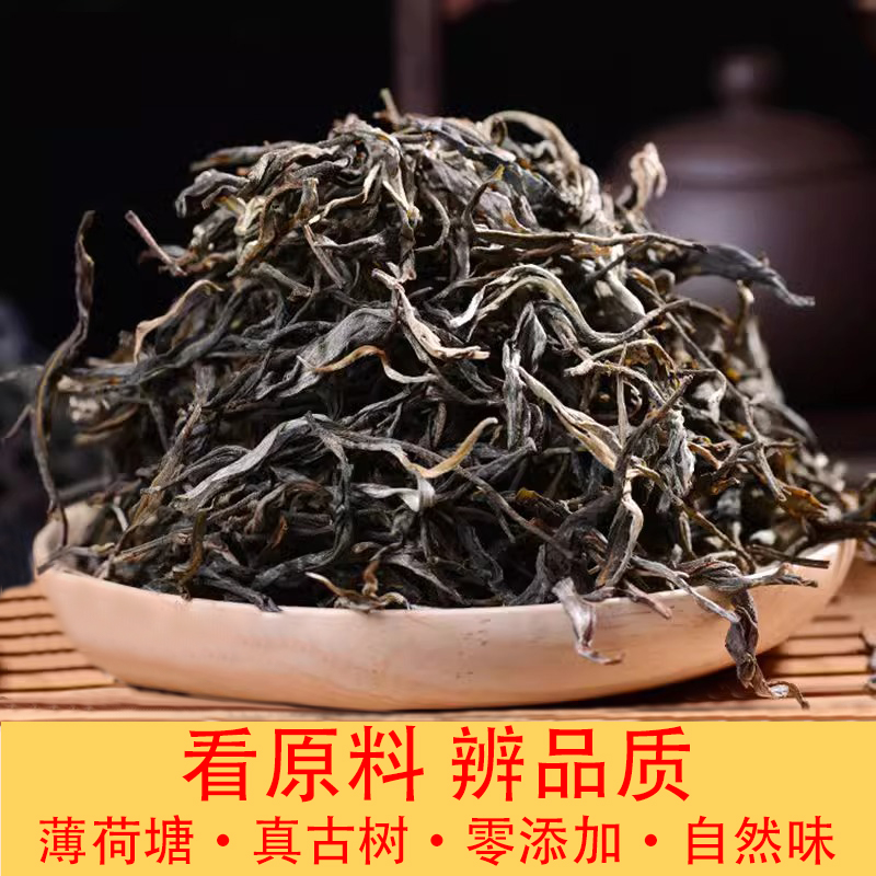 云南普洱茶生茶易武薄荷塘高杆古树纯料回甘头春普洱散茶散装茶叶