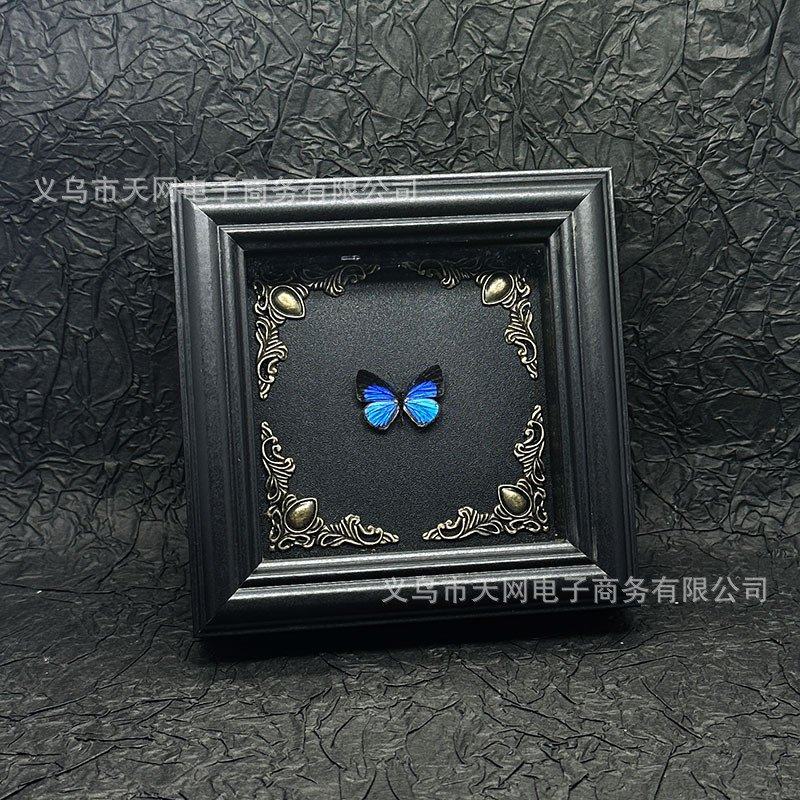 紫星蛱蝶蝴蝶标本真蝴蝶动物摆件展示框艺术品相框客厅装饰画礼物,家居饰品,标本类装饰画,淘宝优惠券,粉丝福利购,淘宝优惠卷