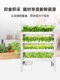 厂无土栽培设备家庭阳台自动化水培蔬菜种植架水耕多层种菜架新