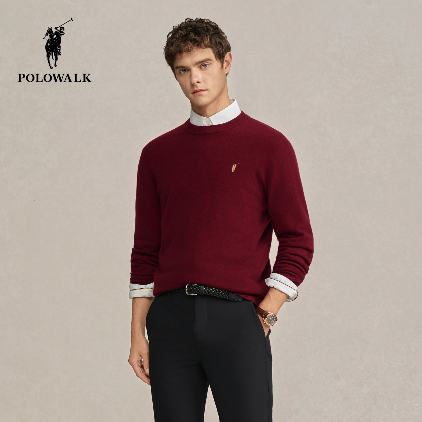 【100%绵羊毛】POLOWALK男装2026冬季新品5A抗菌2A防螨男式羊毛衫