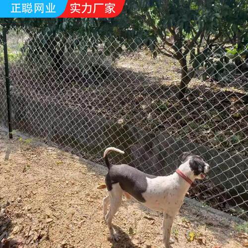 学校球勾场围栏网镀锌花网篮DBP花球场护栏网球场围拉网球场网围