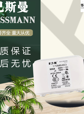 全新巴斯曼熔断器170M6463/64 170M6461/62  170M6811 170M7064