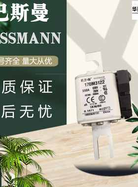 全新原装巴斯曼熔断器170M4140 170M3812 170M3813 170M3122直销